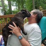 Don Butcher - @sooie1960 - Instagram