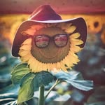 Donald Callaway - @donald.callaway.54 - Instagram