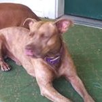 Donna Calloway - @donna.calloway44 - Instagram