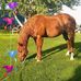 Don Canaday - Facebook