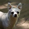 Don Carr - @2167248761 - TikTok