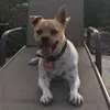 donniedonniecavins - @donniedonniecavin - TikTok