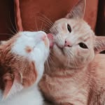 Don Cecilio y Bernardita - @doncecilioybernardita - Instagram