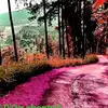 D'On channel - @don.channel25 - TikTok