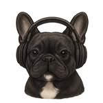 Don Music Channel - @donmusicch - Instagram