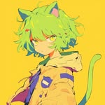 どんちゃん - @donchannel_123 - Instagram