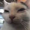 Don_cherry - @don_ch3rry - TikTok