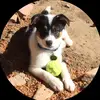 user9875585916032 - @don.christian77 - TikTok