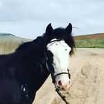 Don Cipriano - @don_cipriano_compra_y_venta - Instagram