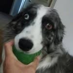 Don Clayton - @donclayton80923 - Instagram