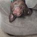 Don Clayton - Facebook