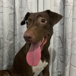 Don Clyde - @donclyde11 - Instagram