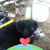 Don Coe - @don.coe - TikTok