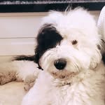 Don Coe - @jaxanddon - Instagram