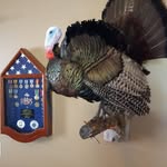Don Coker - @doncoker5 - Instagram
