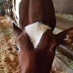 Donald Elton - @donald.comstock.3 - Instagram