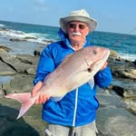 Don Cook - @doncook2 - Instagram