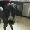 doncook - @doncook - TikTok