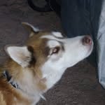 Treydon Cooney - @treydoncooney - Instagram