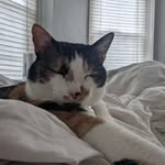 doncoronado - @don__coronado - Instagram