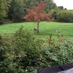 Don Cote - @don.cote.397 - Instagram