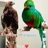 DonCrane - @donnymlrslo - TikTok