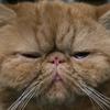 doncrowell729 - @doncrowell729 - TikTok