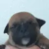 don daley - @don.daley8 - TikTok