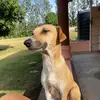 Dana - @dondana50 - TikTok
