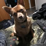 Don Darling - @the_don_darling - Instagram