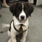 Donovan B - @don.deangelo - Instagram