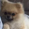 _.donna._ - @donnadegroot - TikTok