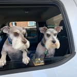Don DeLong - @delong_don - Instagram