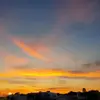 dondepew837 - @dondepew837 - TikTok