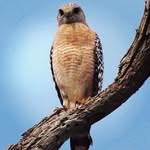 Don Devine - @devine_inspirations - Instagram