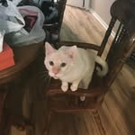 Dewey Don Bright - @dewey_don_bright - Instagram