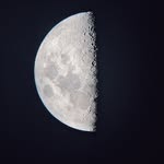 𝐃𝐨𝐛𝐬𝐨𝐧𝐢𝐚𝐧 𝐃𝐨𝐧 - @dobsoniandon - Instagram