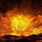 Donald Dobson - @don.dobson.351 - Instagram