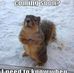 Don Donnelly - Facebook