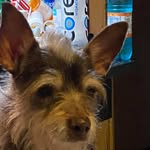 Donald Dover - @donalddover - Instagram