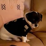 Don Dowdy - @dowdydon - Instagram