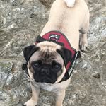 @dondowling1975 - Instagram