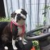 Don Dressel - Facebook