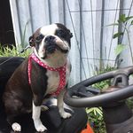 Don Dressel - @savantness - Instagram