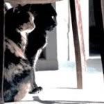 Dominique Dubois - @dondubois58 - Instagram