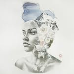 Donald DuBuque - @donald68298 - Instagram