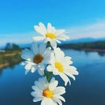 Döne Ercan - @doneadem_ercn - Instagram