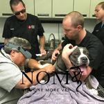Don Earl - @lidovet - Instagram