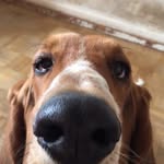 Don Eason - @eason1906 - Instagram