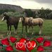 Don Eason - Facebook
